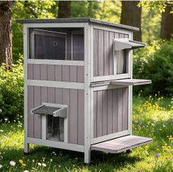 Cat House