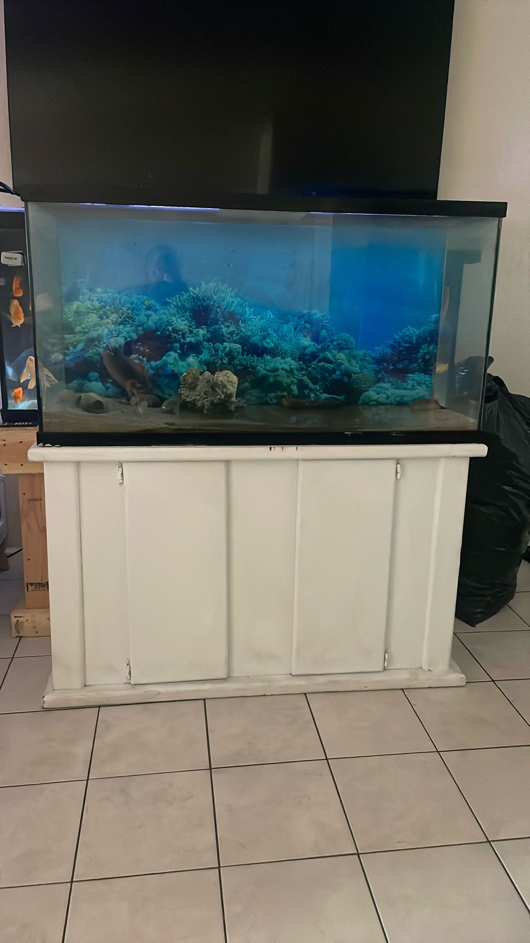 100 G Fish Tank