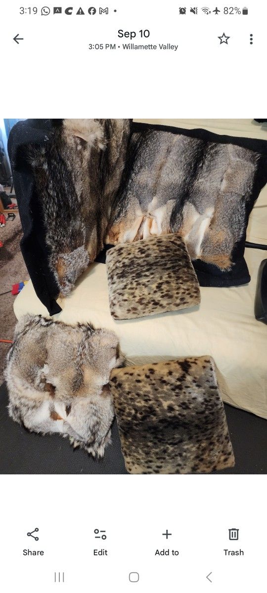 Beautiful  Decorative Pillows..