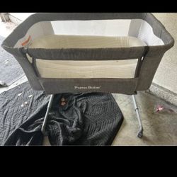 Bassinet And Bed Insert