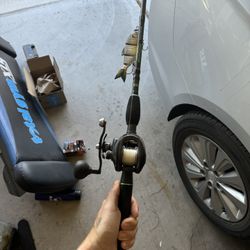 Swimbait Rod And Reel Combo!!! Dobyns Fury/ Lews Super Duty 300