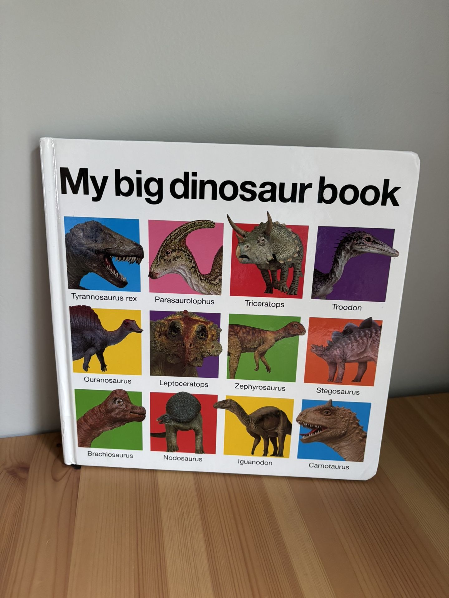 My Big Dinosaur Priddy Board Book Children’s Large Picture Book 