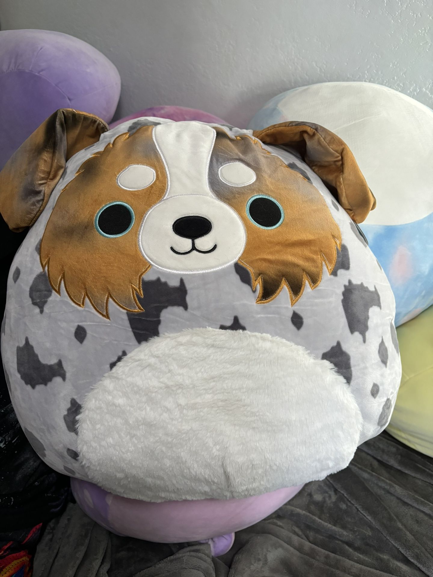 (Rare) Raylor Squishmallow 20” Target Exclusive