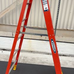 6ft Ladder 