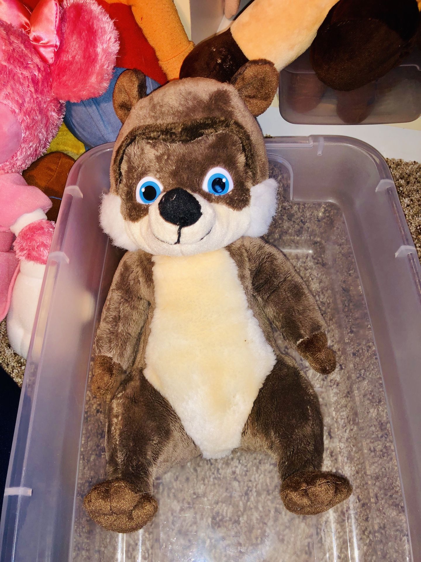 Over the Hedge plush doll toy - RJ - Bruce Willis voiced this character in movie