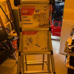 Ladder 