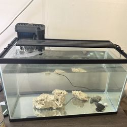 Fish tank + Accessories