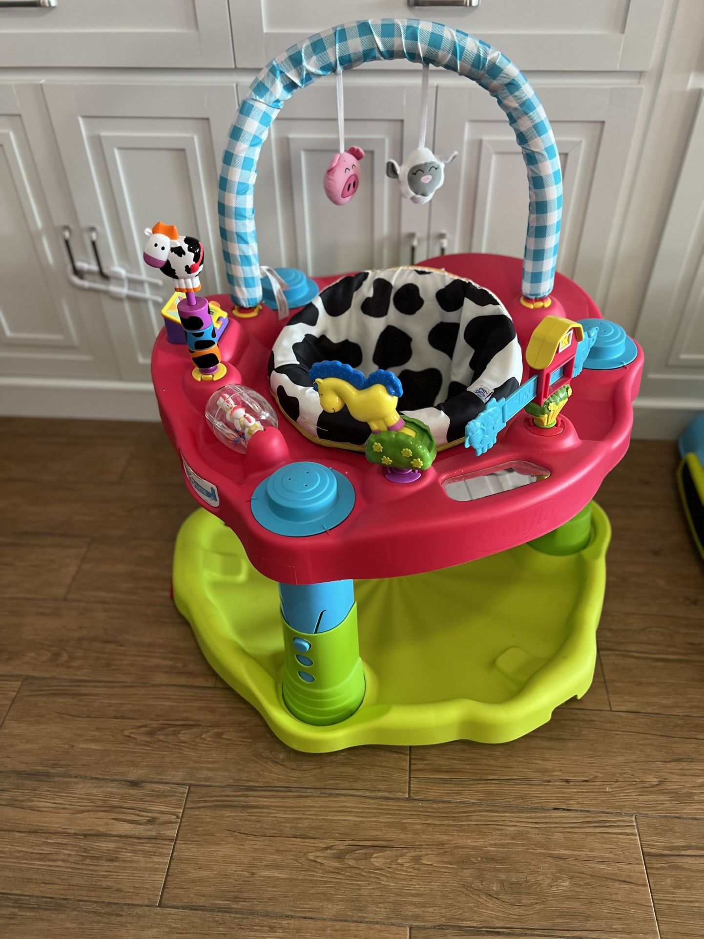 Baby Activities Center Exersaucer 