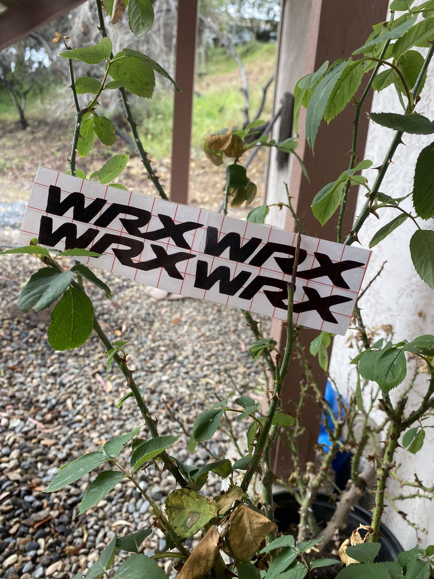 Wrx door handle decals