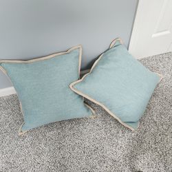 2 Goose Down Decorative Pillows