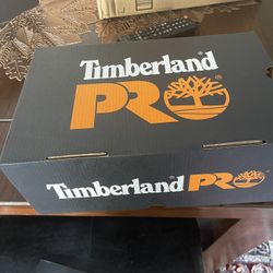 Timberland Shoes