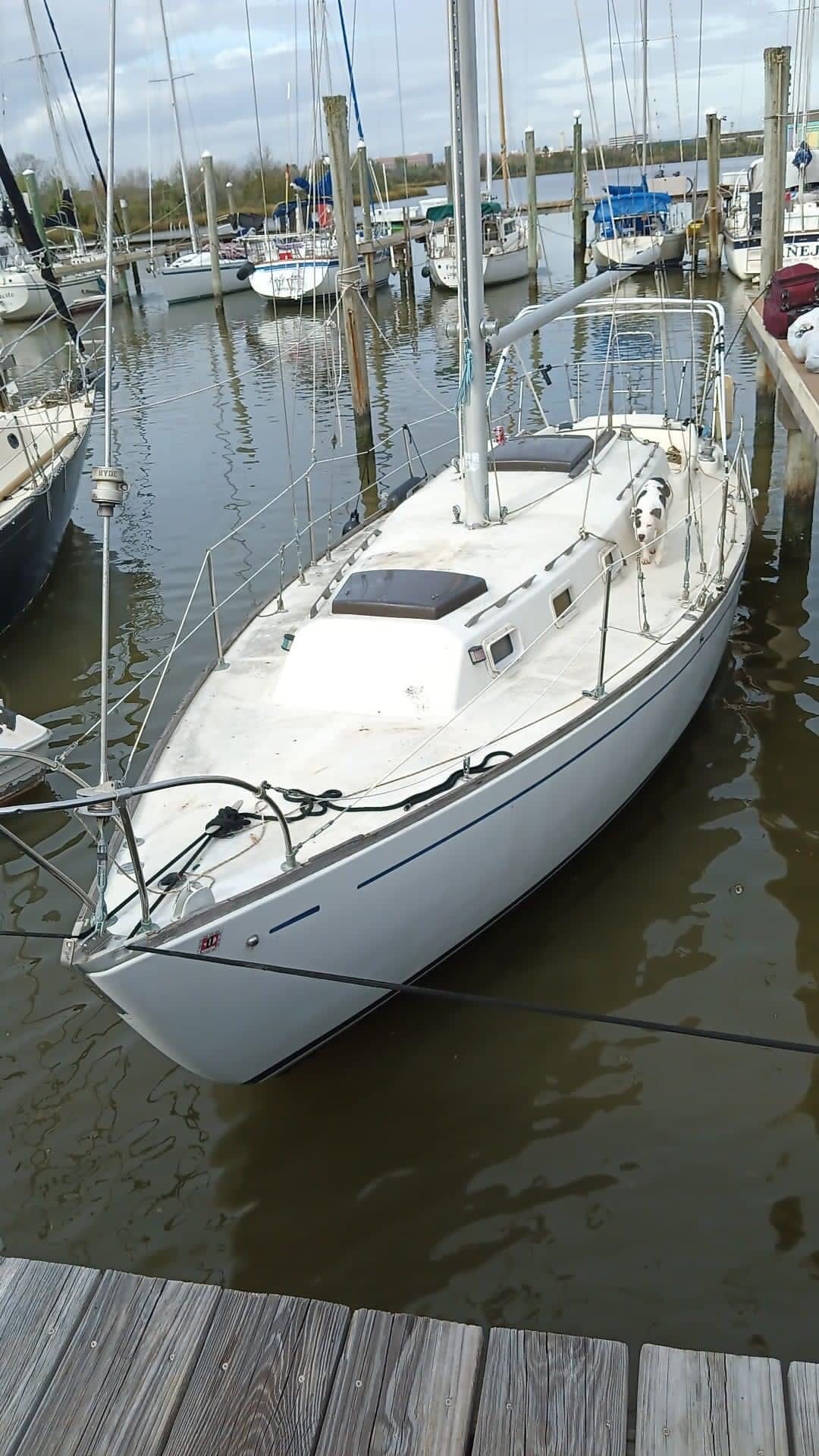 1971 Erwin 32nd Series 32ft Sailboat 