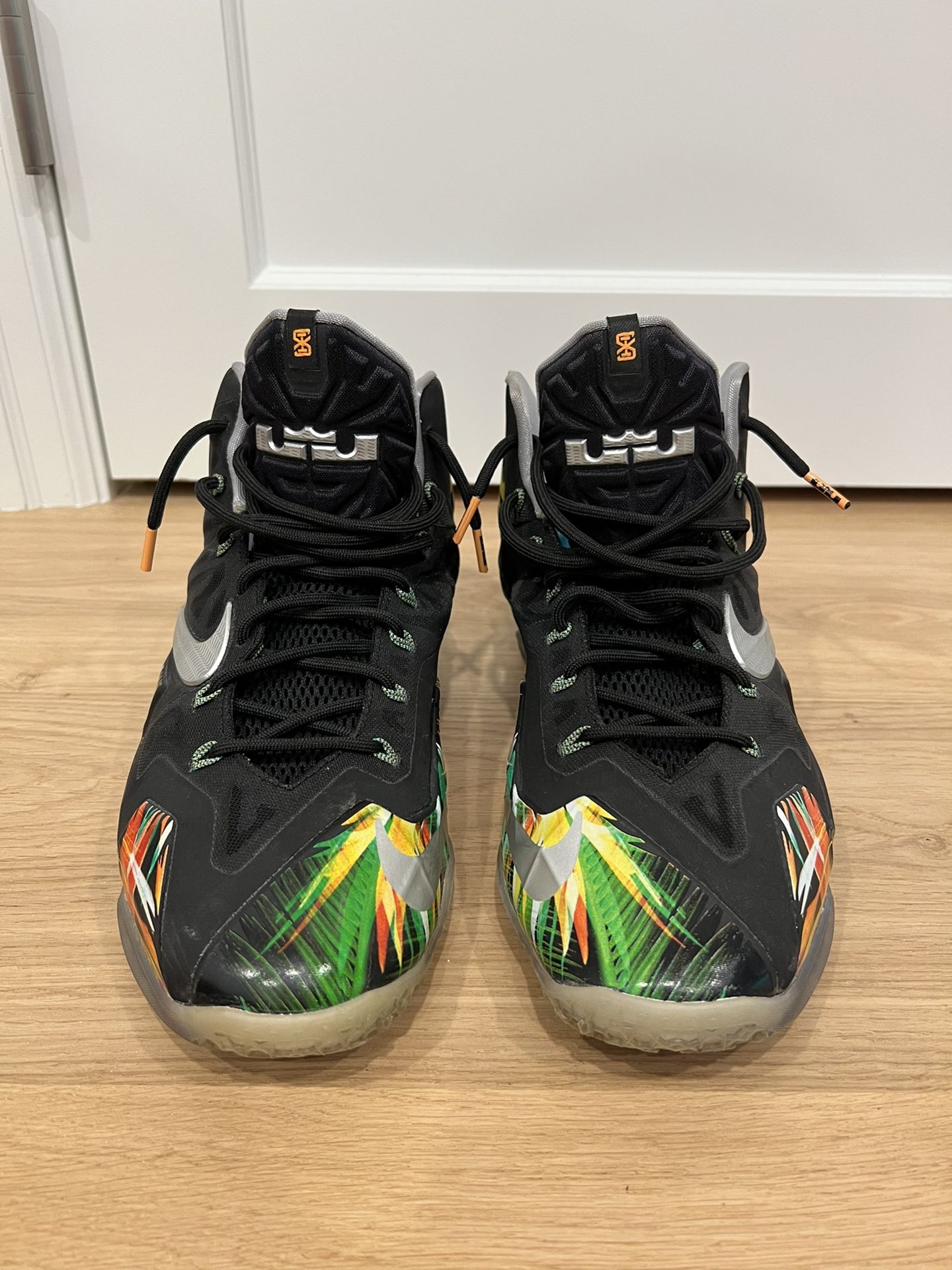 Nike Lebron 11 “Everglades”