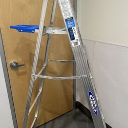 6" Werner Ladder