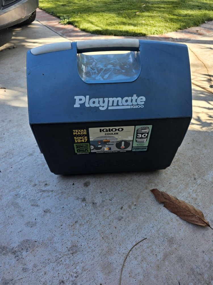Playmate Cooler $20