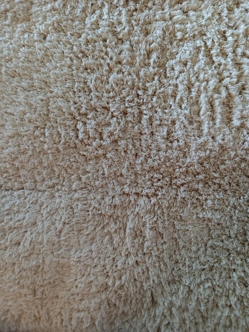 Beige Carpet