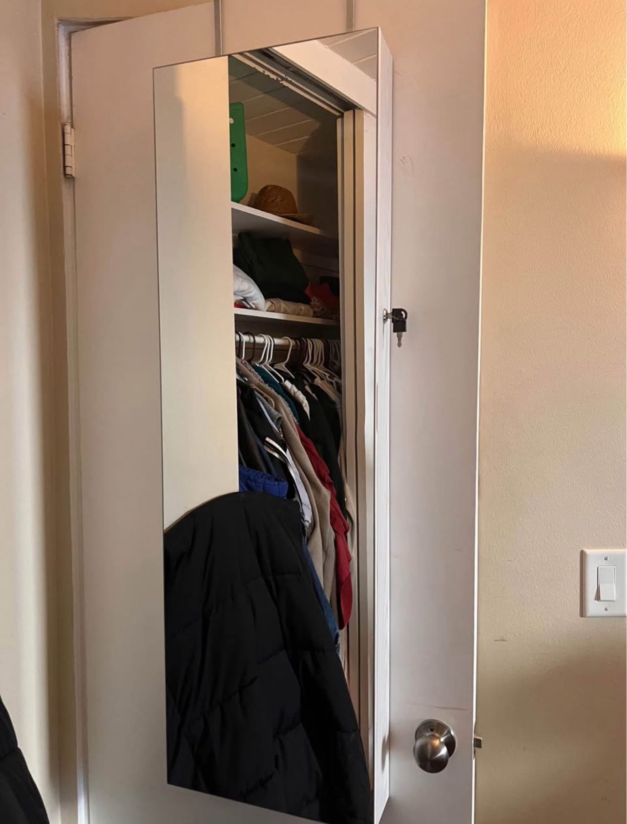 Door Mirror Jewelry Cabinet