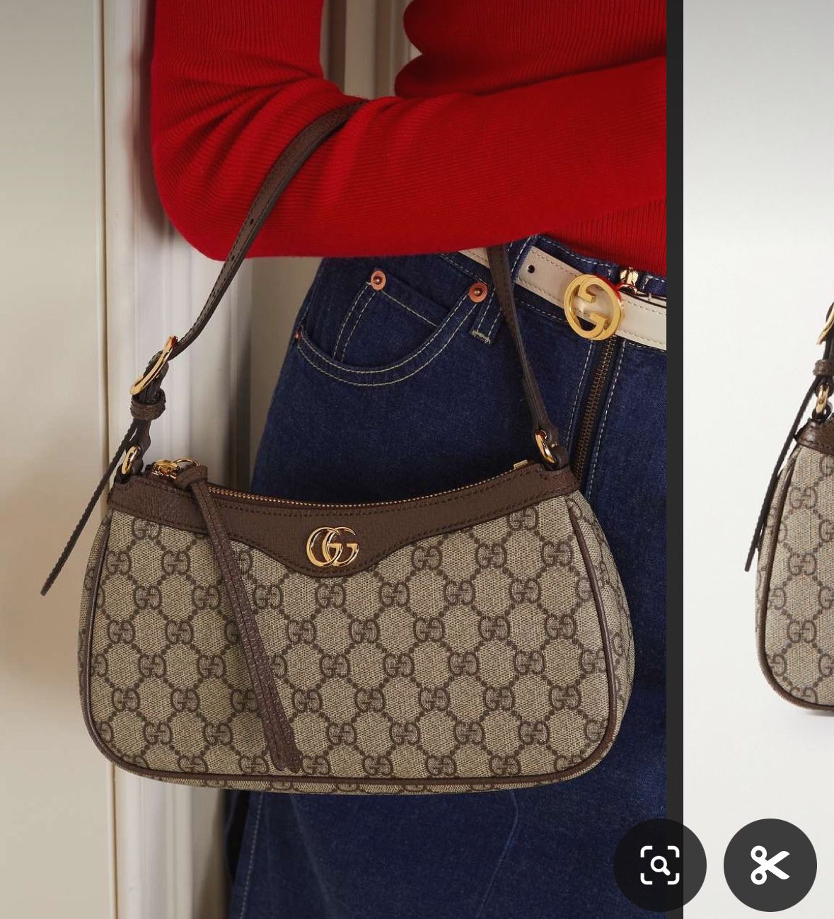 Gucci Bag ( Ophidia)