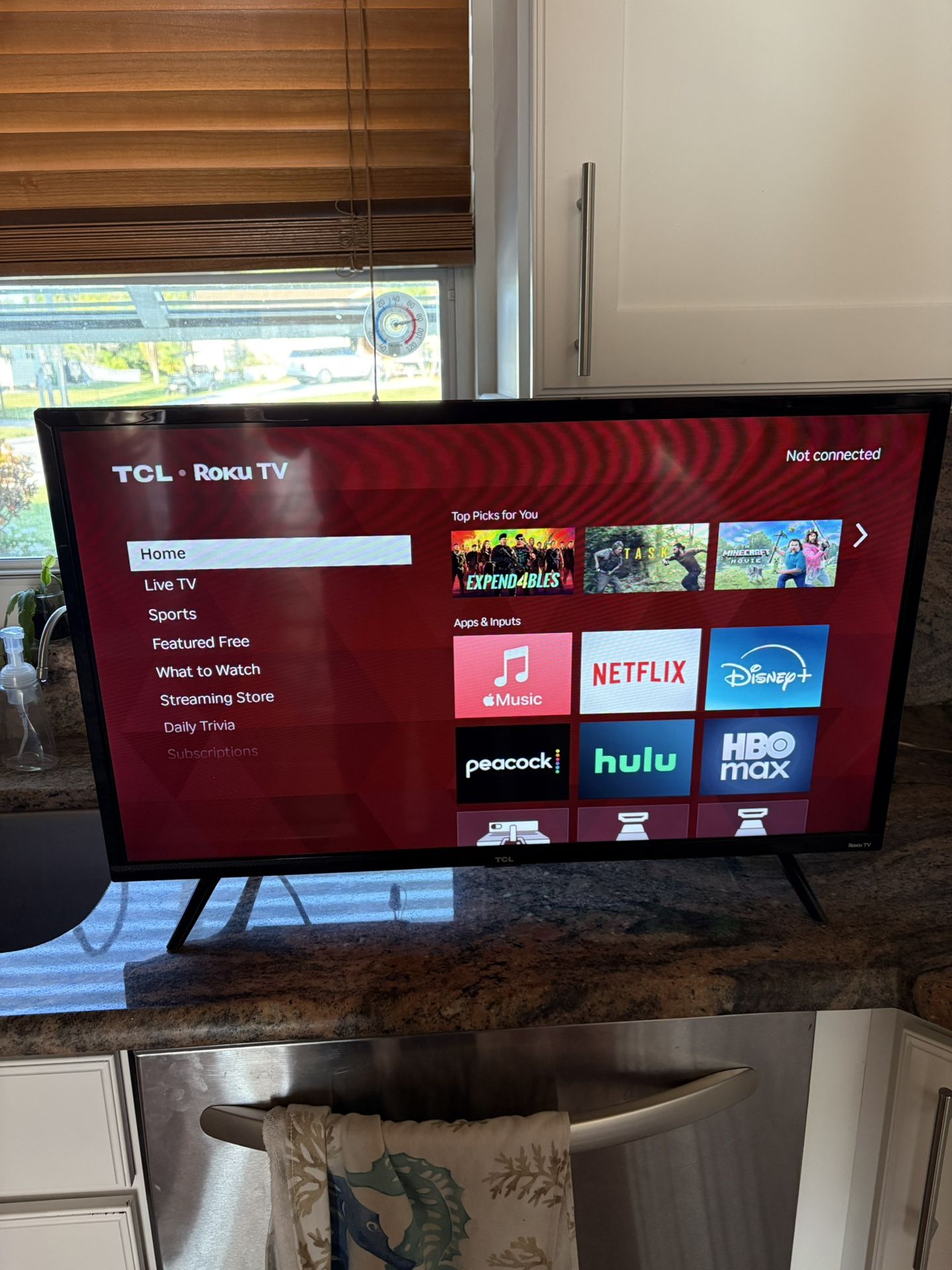 roku tv