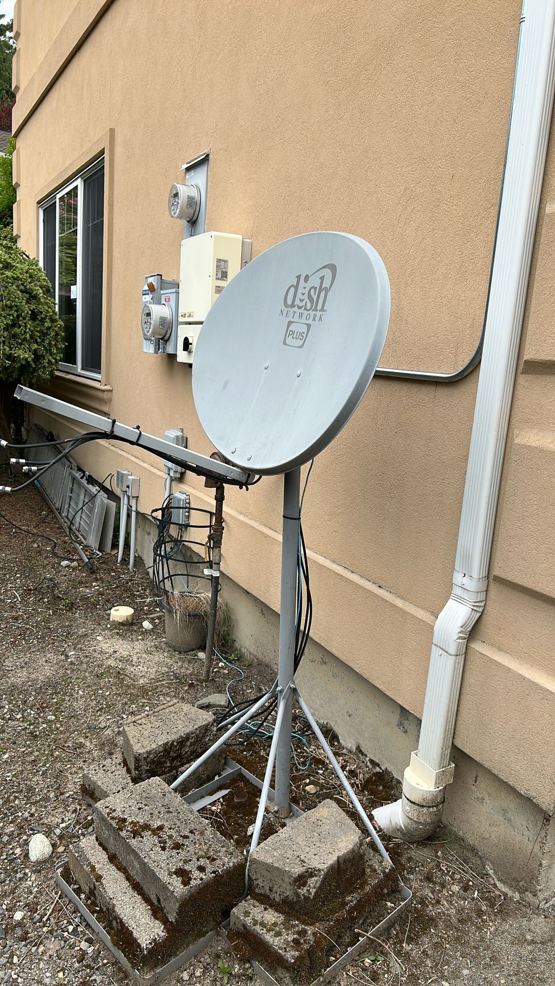Dish And Base