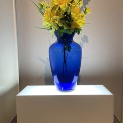 Table Top Display Pedestal, Dual Bulb Full Led Wi-Fi App Controlled Lights