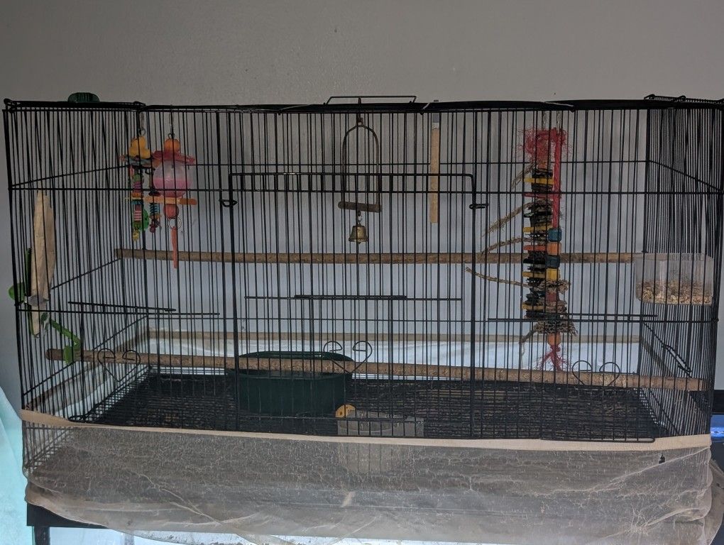 Bird Cage