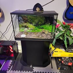 Fish Tank 30 Gallon With Stand
