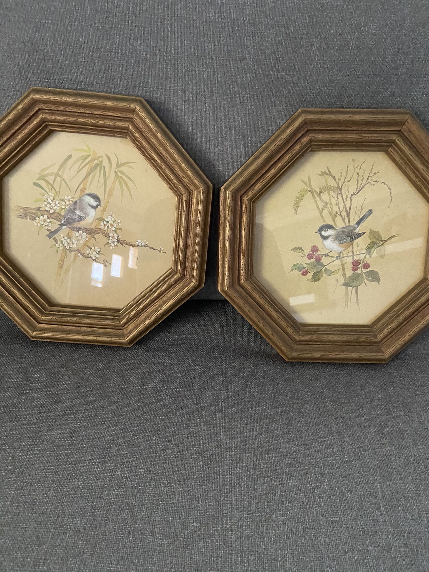 Chickadee Picture Frames