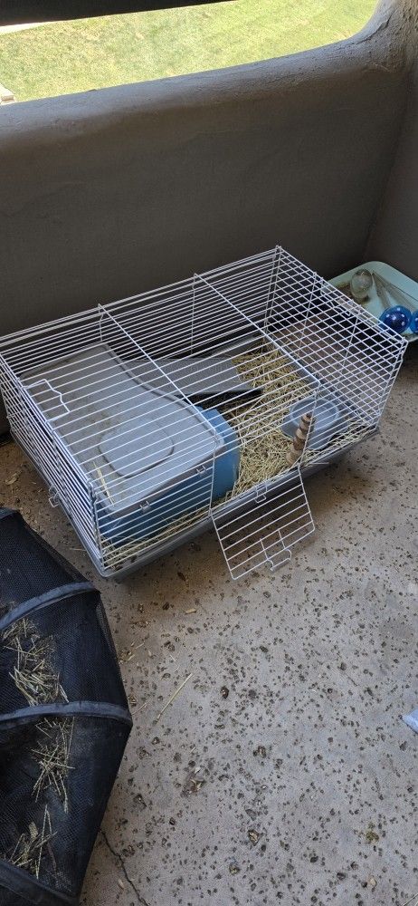 Guinea Pig cage
