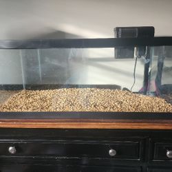 20 Gallon Long Aqueon Aquarium