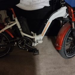 Electric Rad Bike $1000