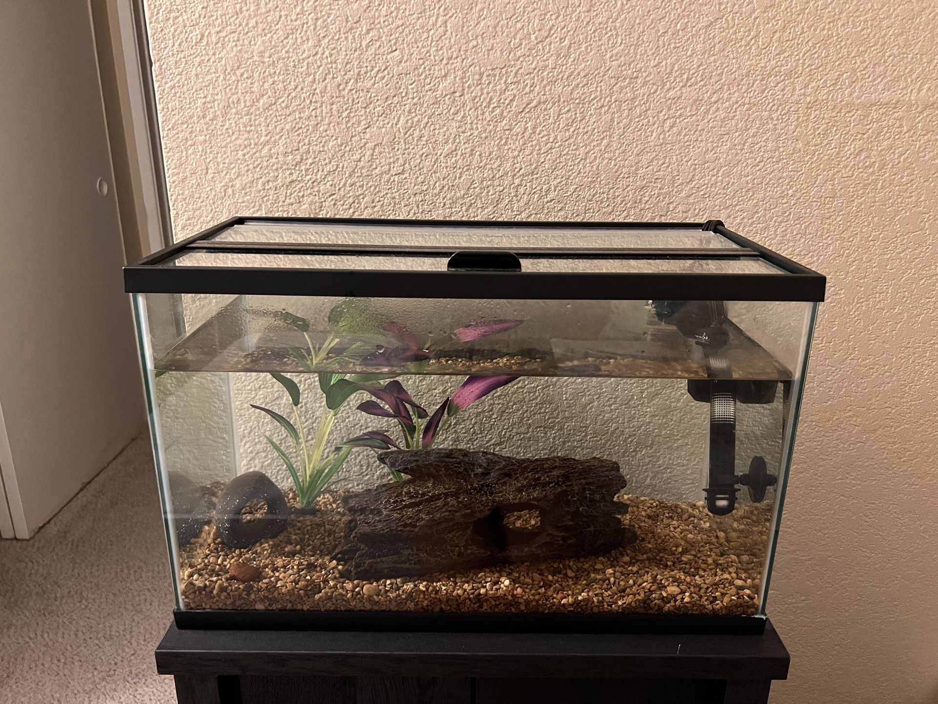 10 Gallon Aquarium