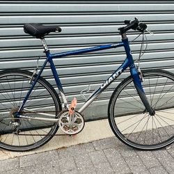 Giant XL Bike