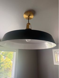 Free 22inch teal with gold hardware light