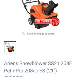 Areans path pro 208cc snowblower just needs belt