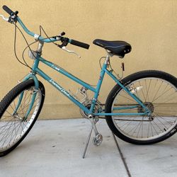 1980’s Vintage Diamond Back Ascent Mountain bicycle