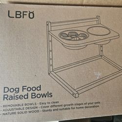 Dog Bowls 