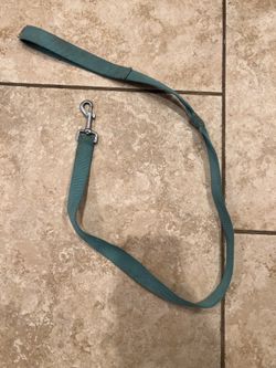 Dog Leash