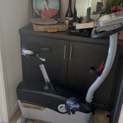 schwinn stationary bike 