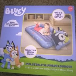 Bluey Inflatable Bed