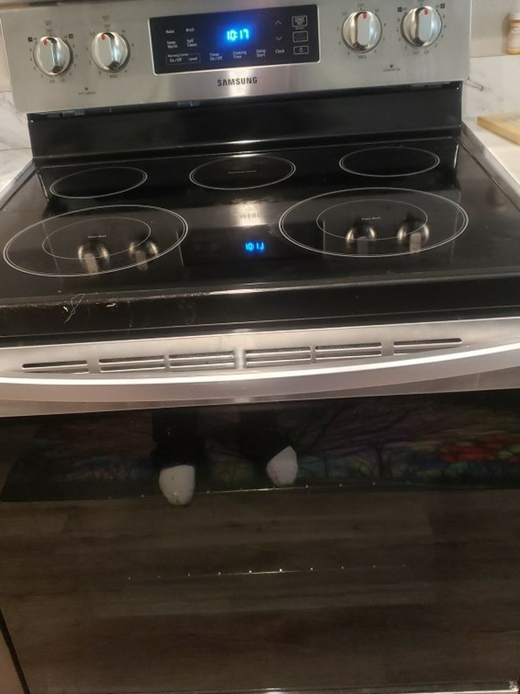 Samsung Electric Range