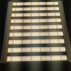 LED Grow Light