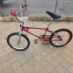 1980 Schwinn  Scambler 36 36