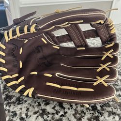 Softball Glove (adult)