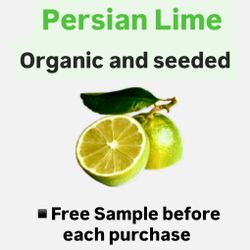 Seeded Organic Persian Lime /Lima persa Organico con Semilla 
