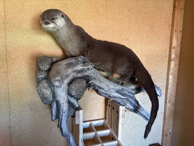 Otter Mount