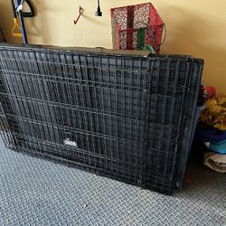 Kong XL Dog crate 