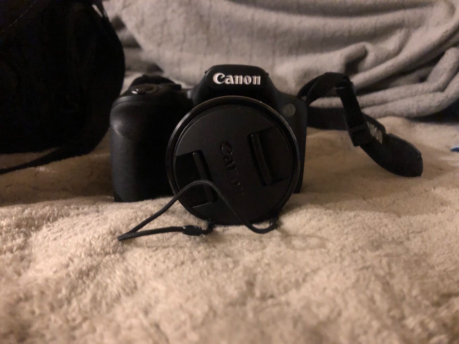 Canon Camera SX530 and Camera Sony Bag