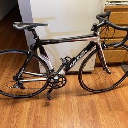 Raleigh Carbon Bike Frame 21”