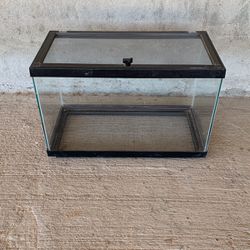 Glass Terrarium Small For Rabbit, Cat, Turtle 20X10X13. $20.00